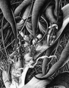 Le Roi des escargots – Encre de Chine – © Dantec, 1991